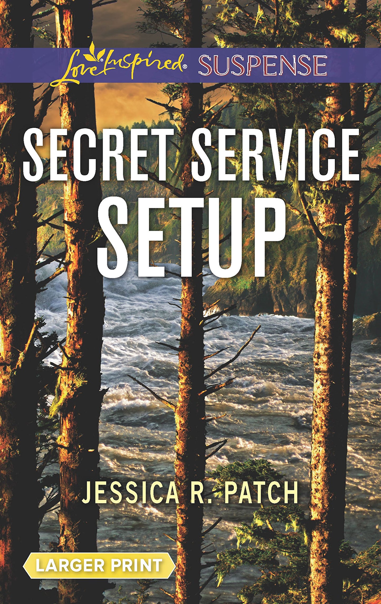 Secret Service Setup (The Security Specialists, 2)