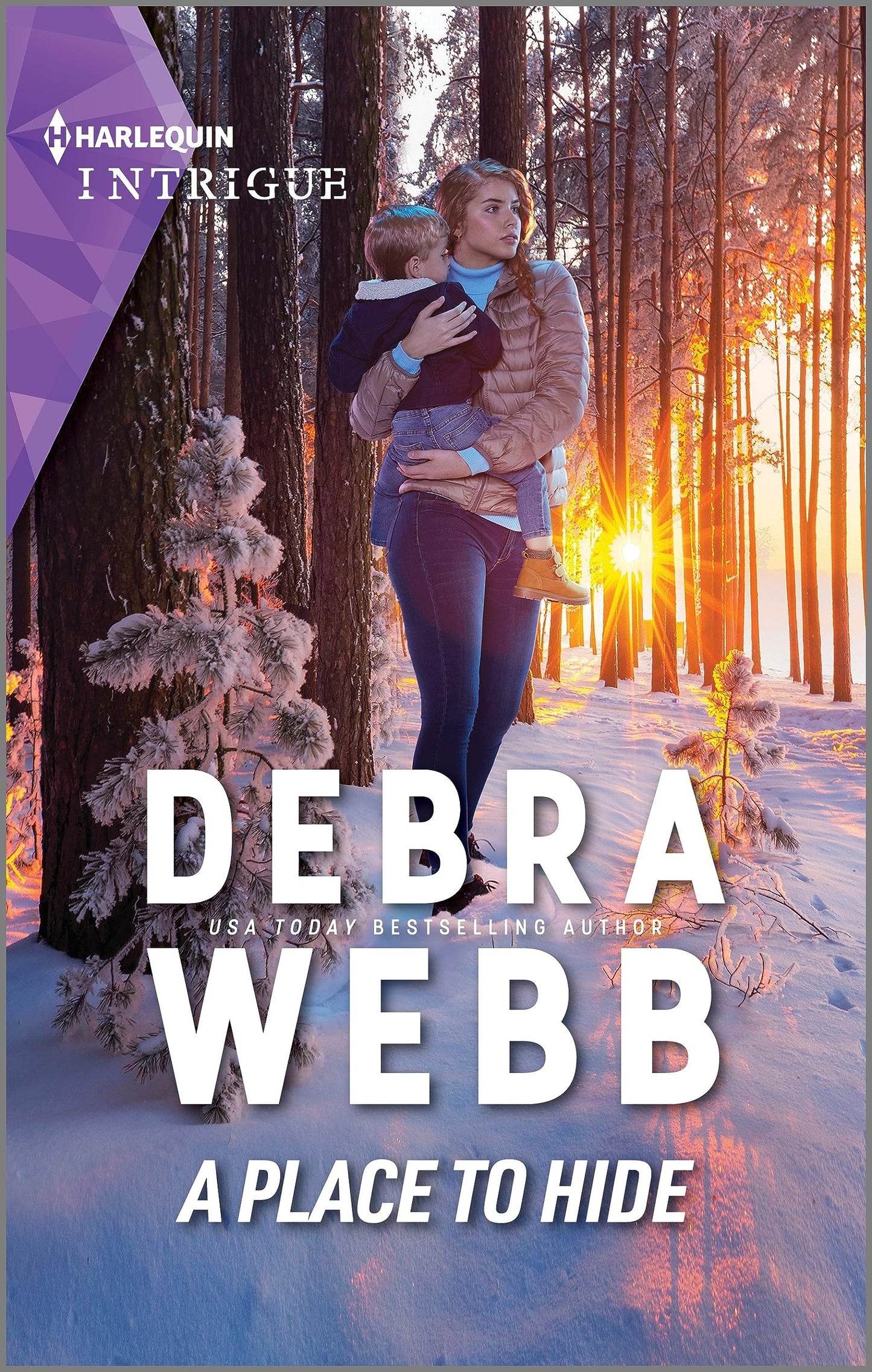 A Place to Hide (Lookout Mountain Mysteries, 3) - 8079