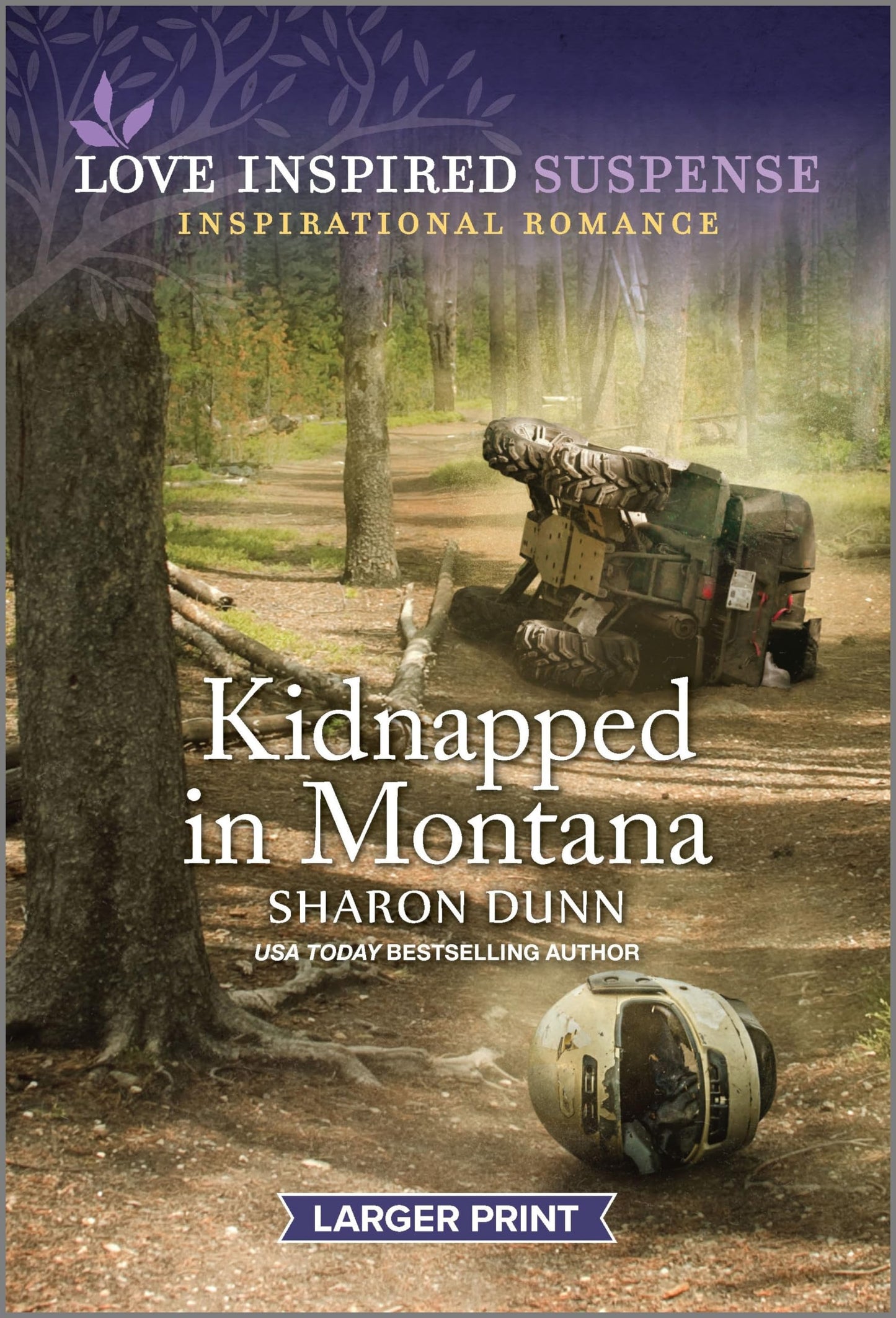 Kidnapped in Montana (Love Inspired Suspense)
