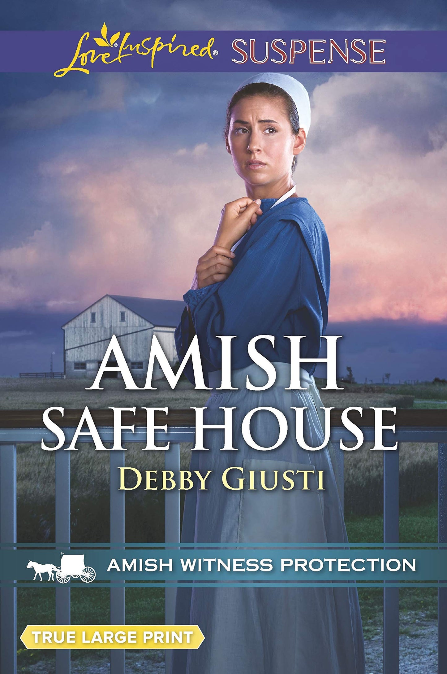 Amish Safe House (Amish Witness Protection, 2) - 8277