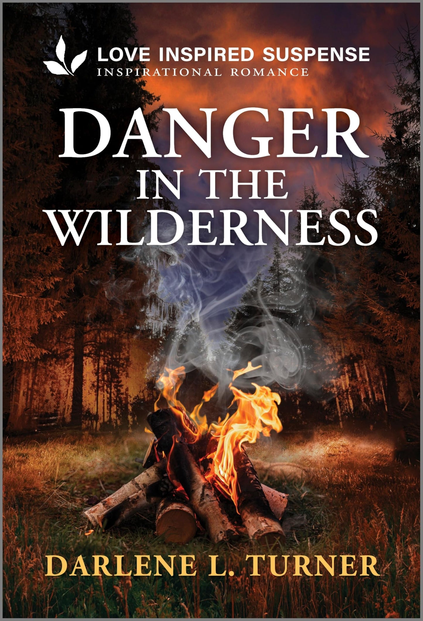 Danger in the Wilderness (National Park Protectors, 1)