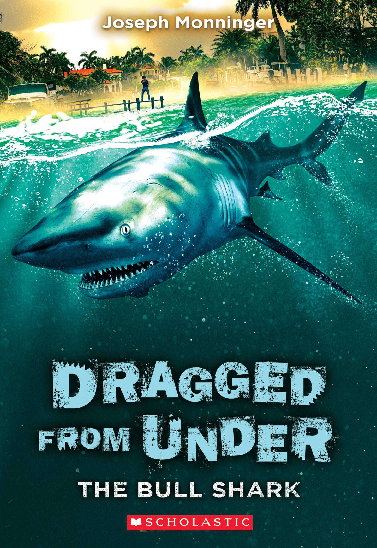 The Bull Shark (Dragged from Under #1) (1)