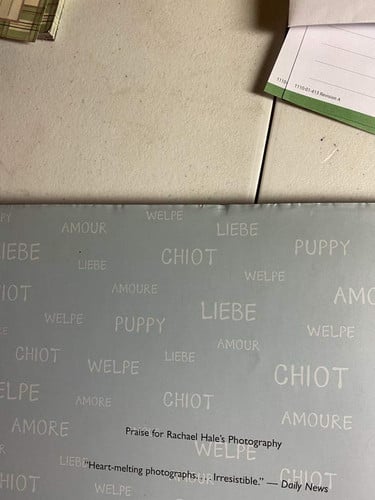 Snog: a puppy's guide to love