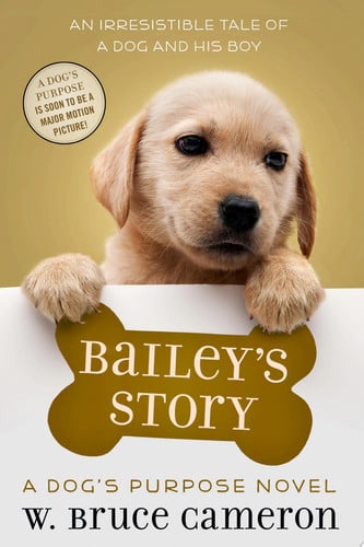 Bailey's Story A Puppy Tale