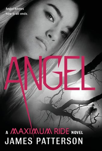 Angel: a Maximum Ride novel