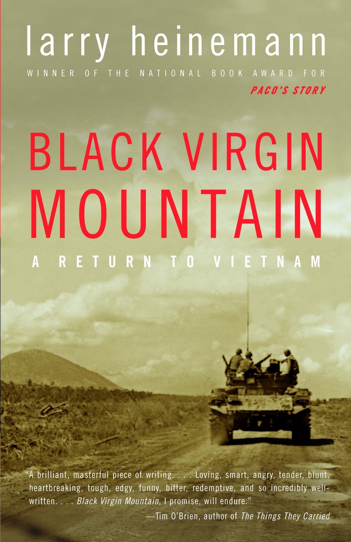 Black Virgin Mountain: A Return to Vietnam