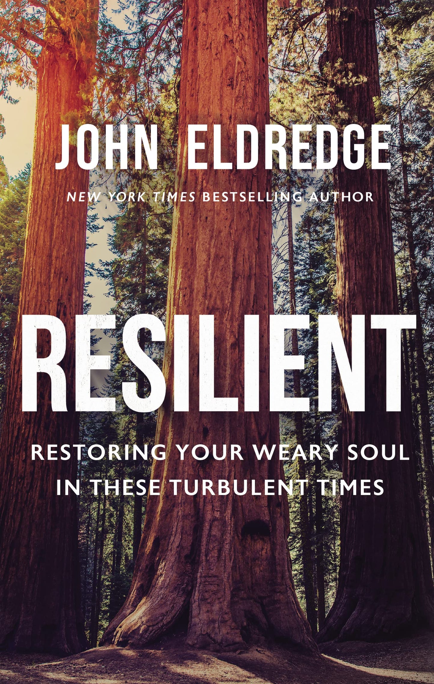 Resilient: Restoring Your Weary Soul in These Turbulent Times - 6187