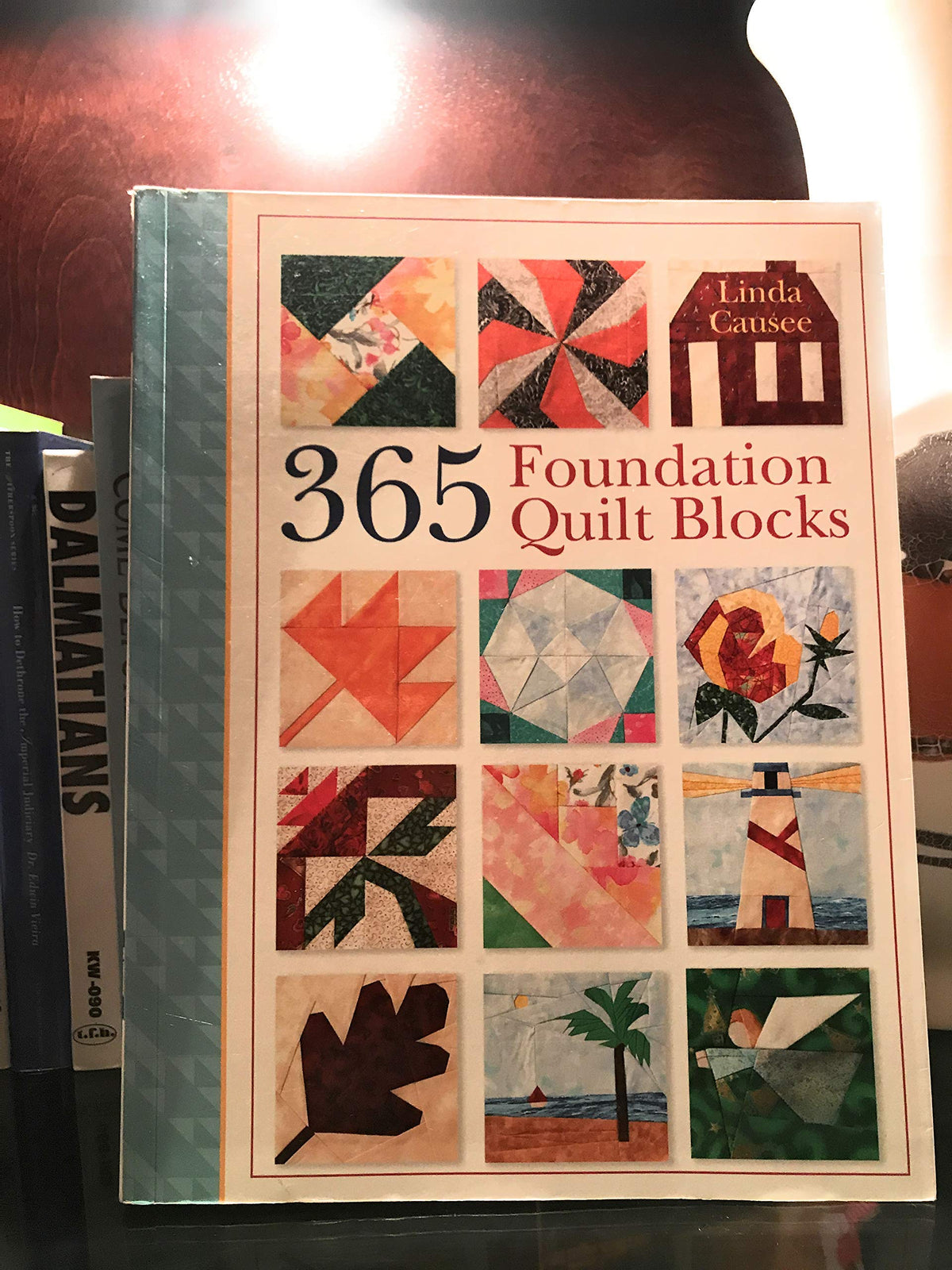 365 Foundation Quilt Blocks