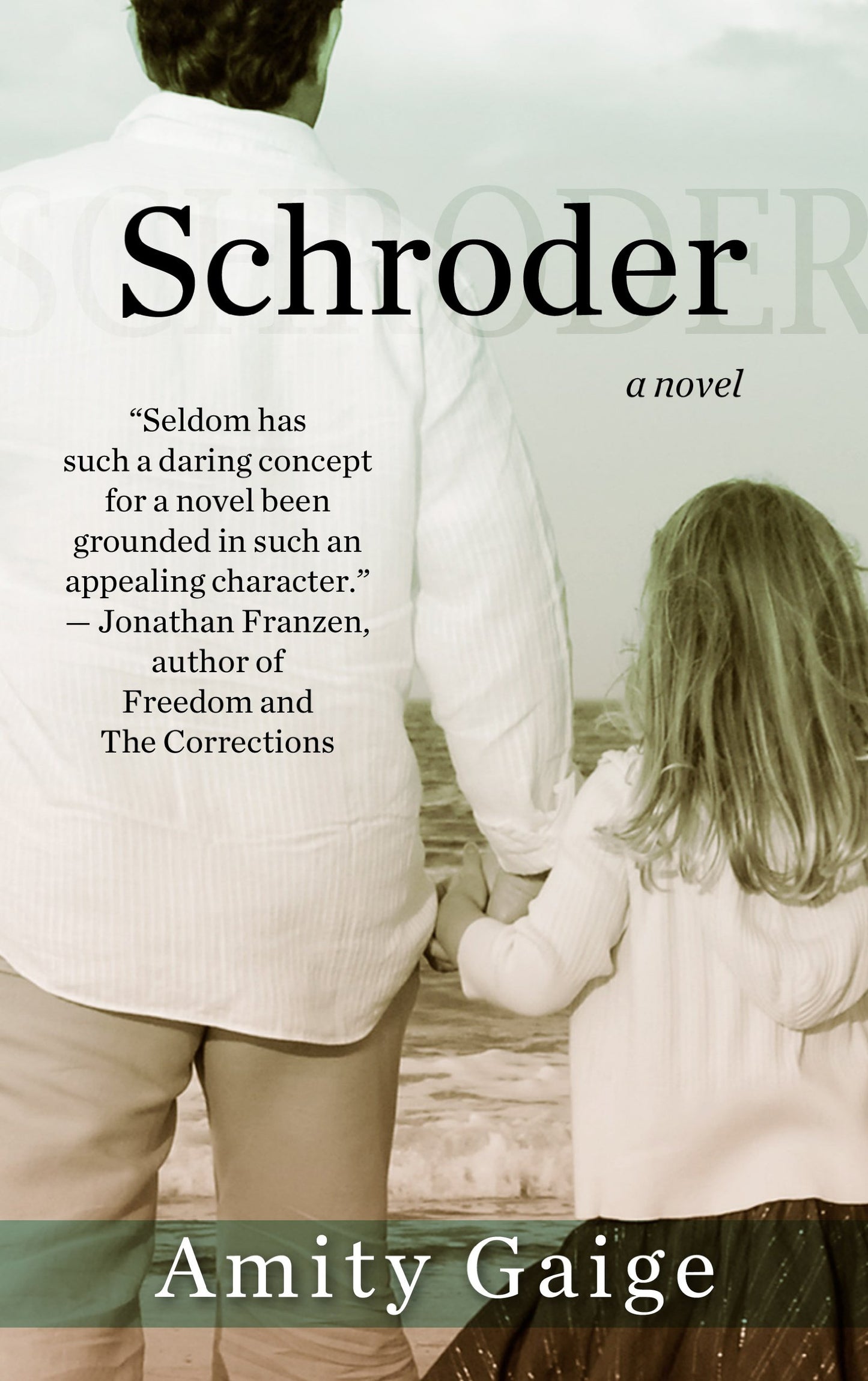Schroder (Thorndike Press Large Print Basic)