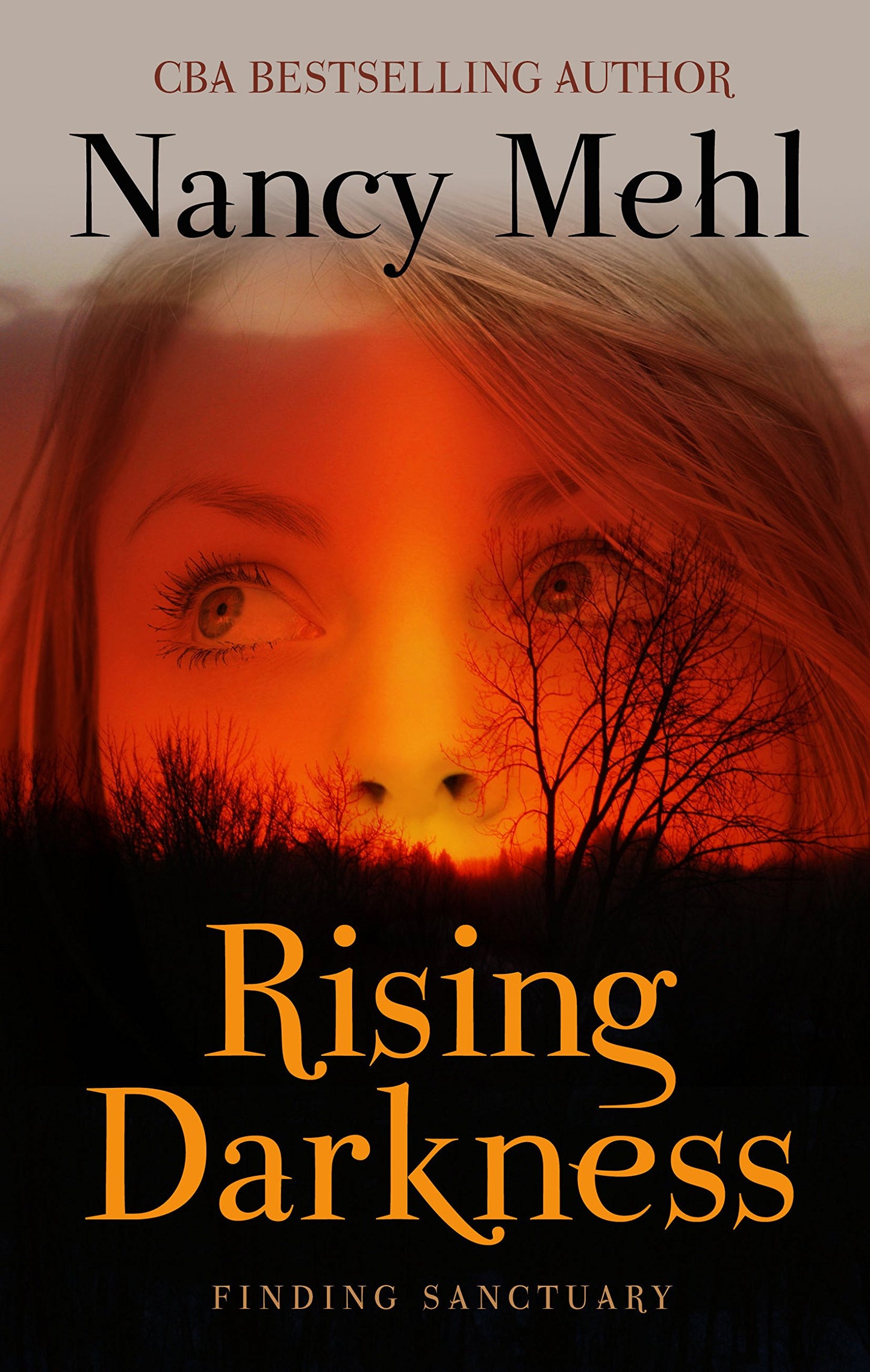 Rising Darkness (Finding Sanctuary, 3) - 8502