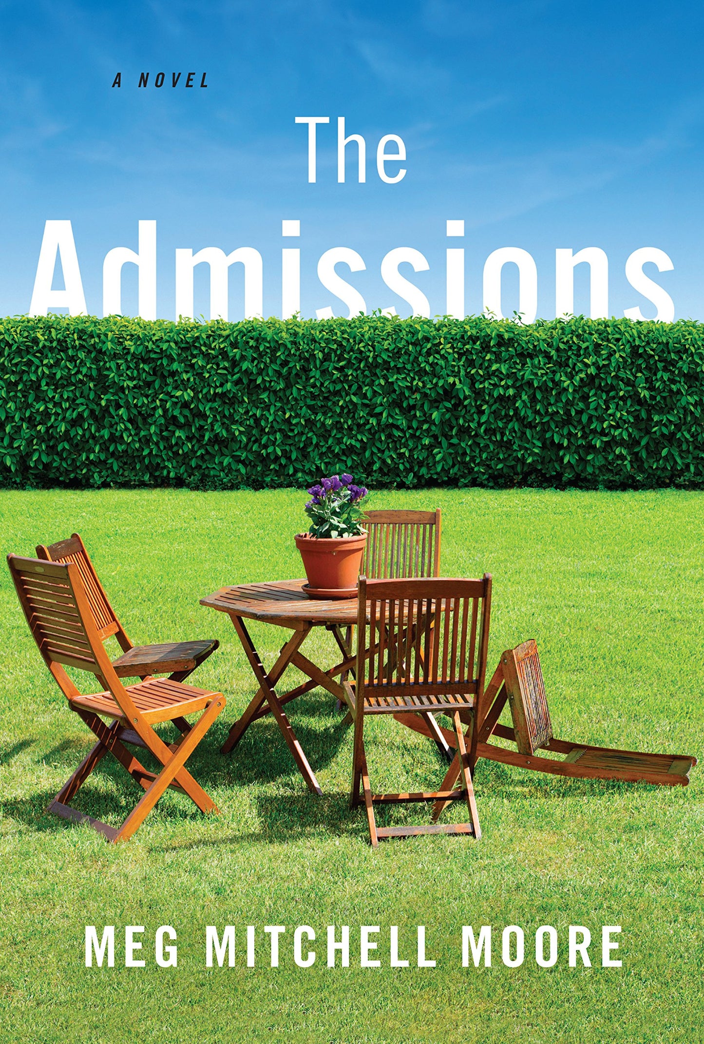The Admissions (Wheeler Publishing Large Print Hardcover)