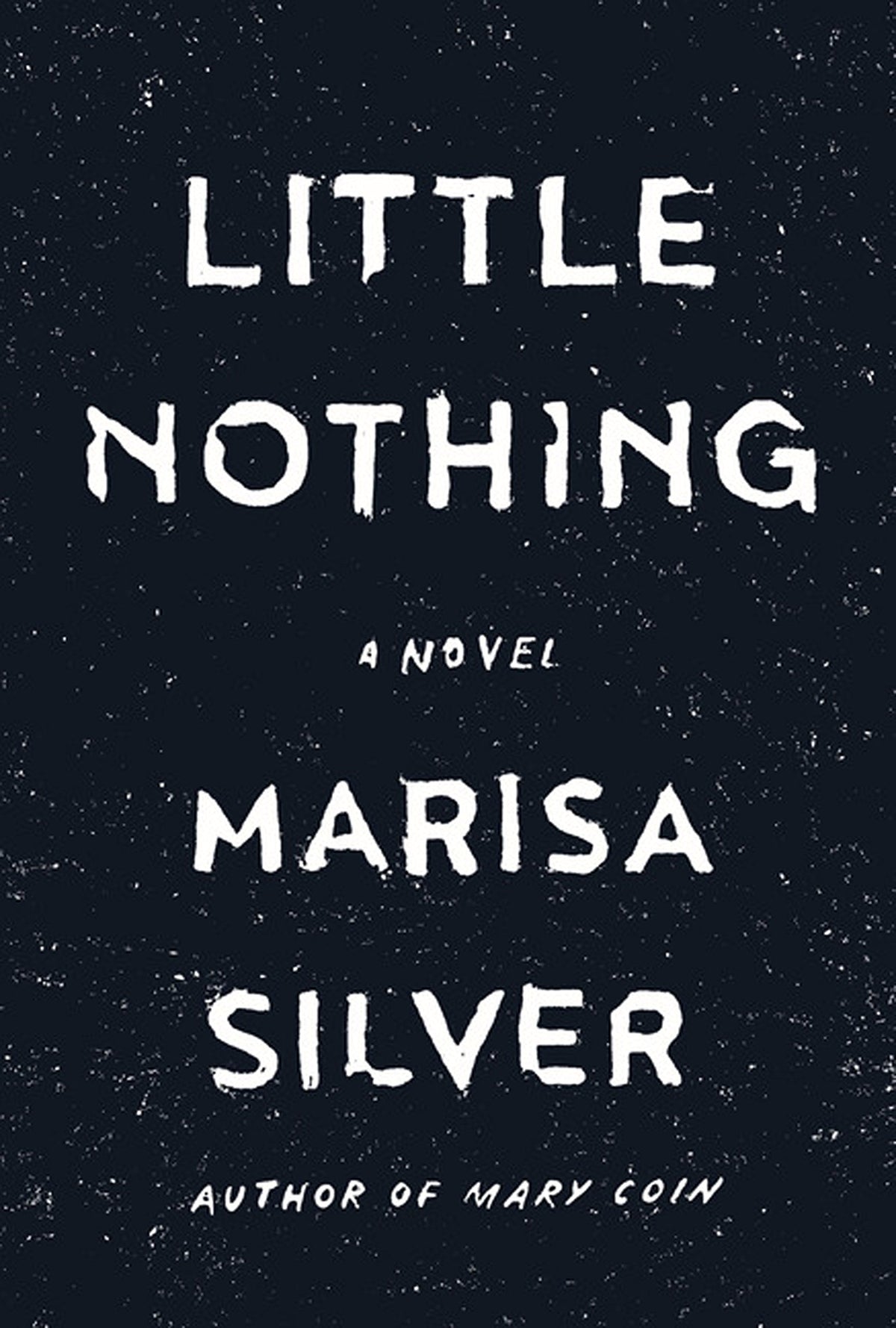 Little Nothing (Thorndike Press Large Print Core)