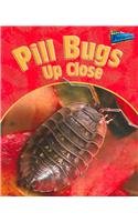 Pill Bugs Up Close (MINIBEASTS UP CLOSE) - 3895