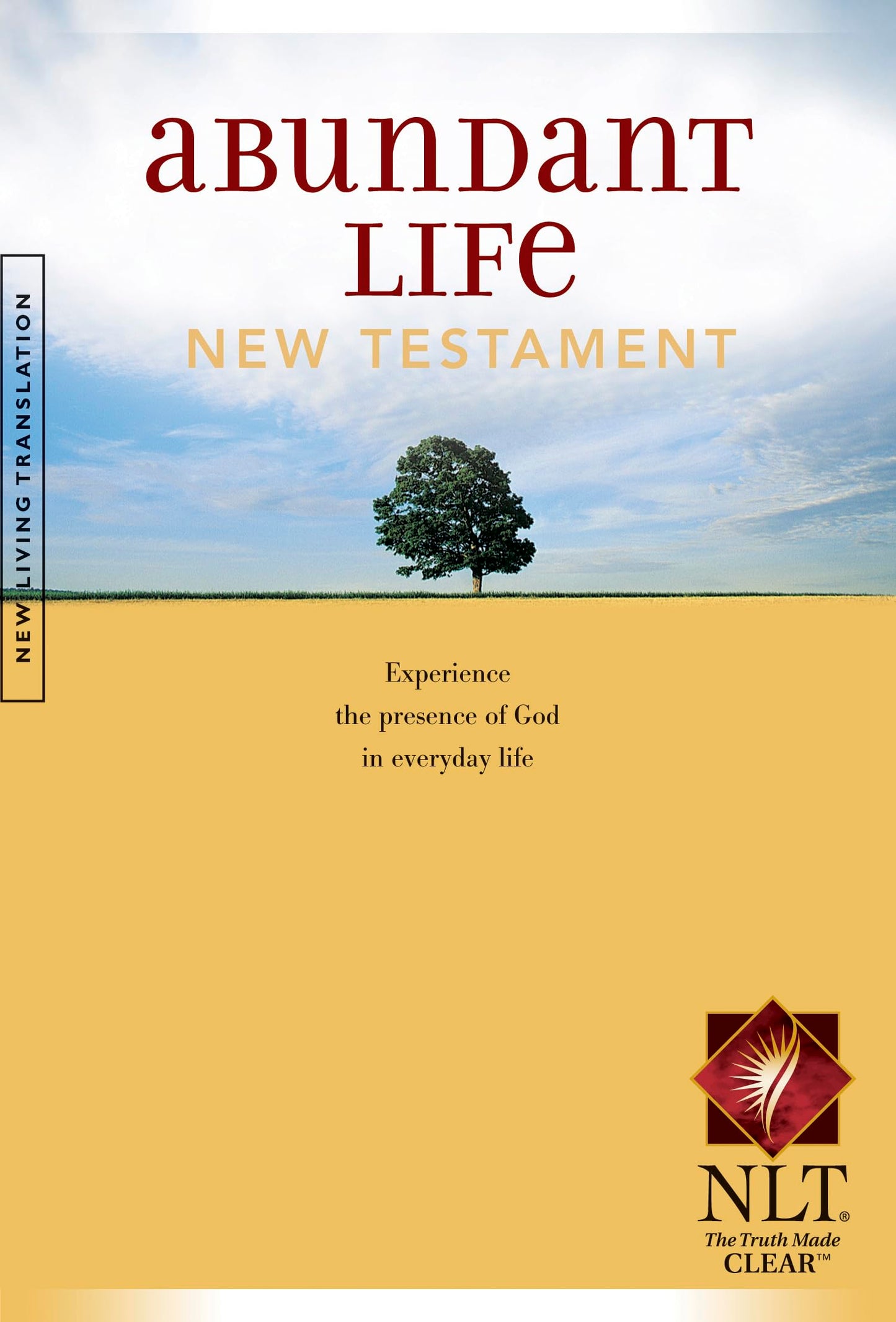 ABUNDANT LIFE BIBLE NEW TESTAMEN