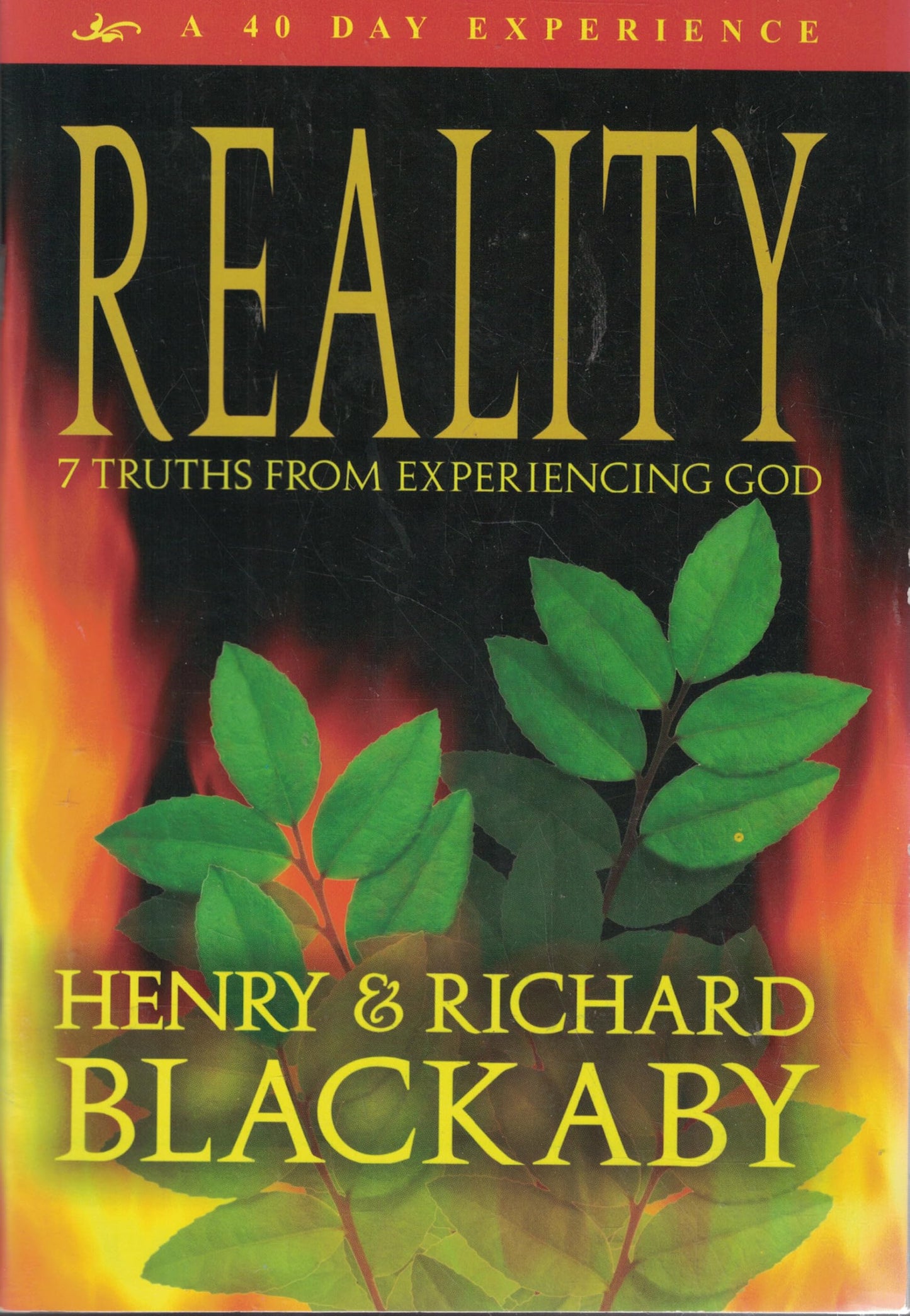 Reality: 7 Truths From Experiencing God (40 Day Experence)