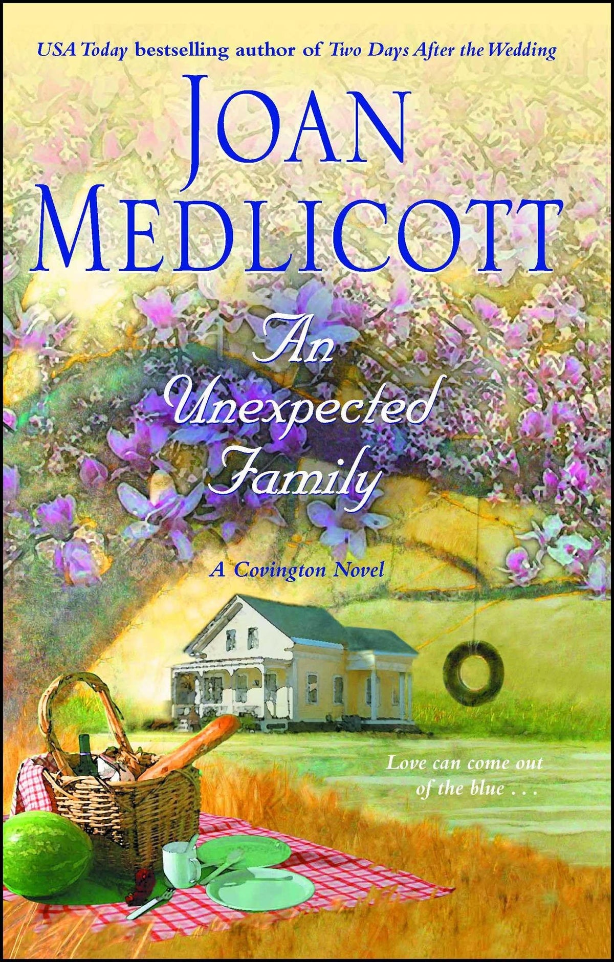 An Unexpected Family (Ladies of Covington, Book 7)