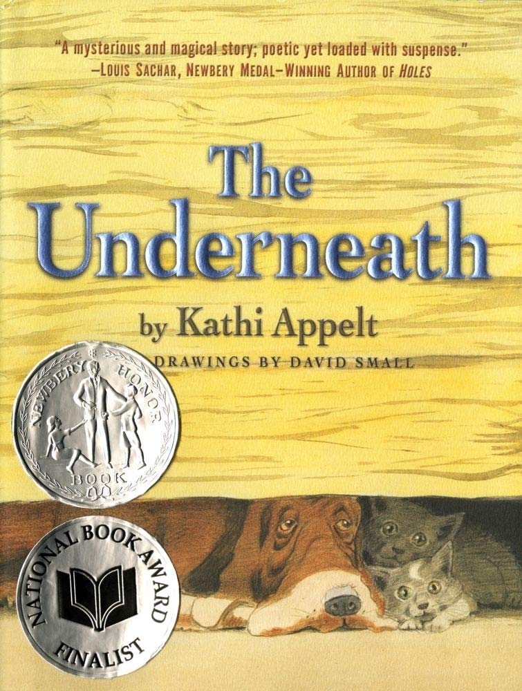 THE UNDERNEATH - 9951