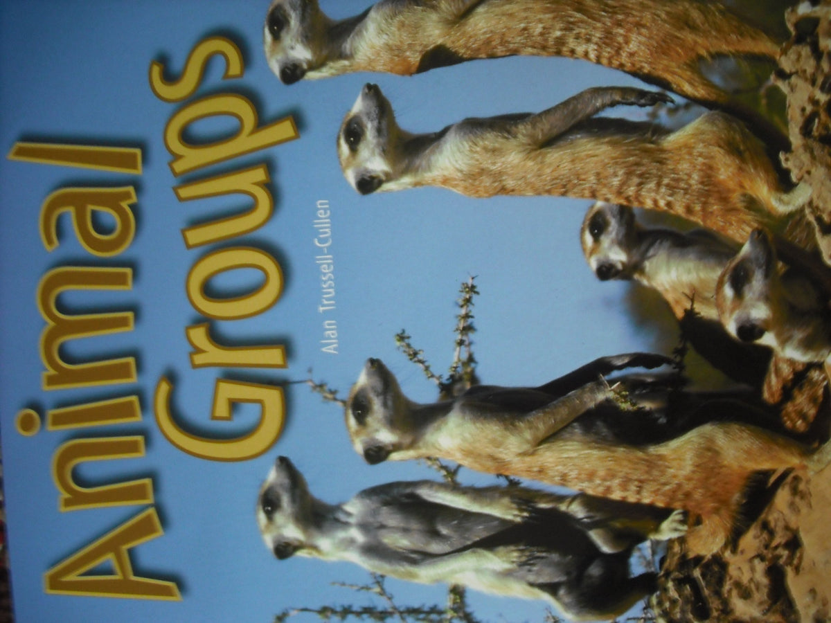 Rigby Focus Forward: Leveled Reader Animal Groups