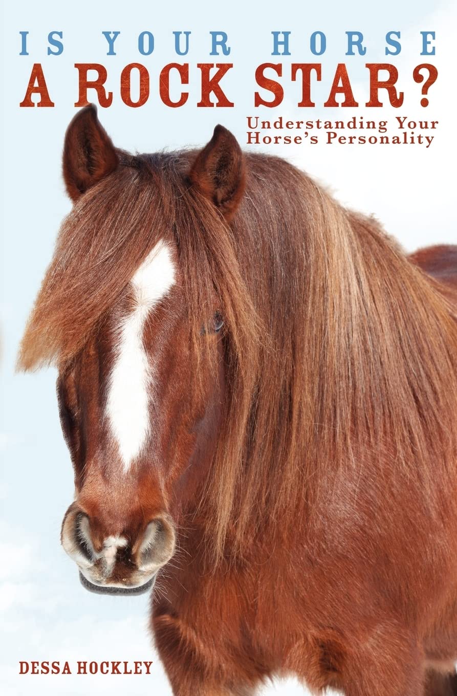 Is Your Horse a Rock Star? Understanding Your Horse's Personality