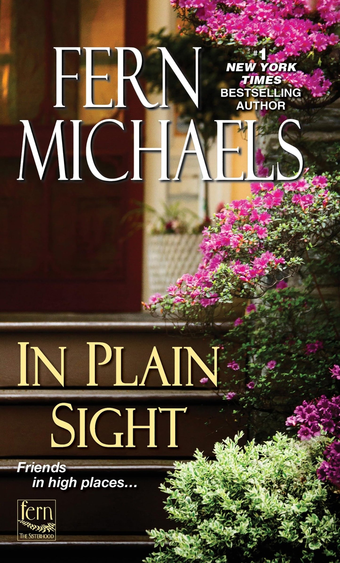 In Plain Sight (Sisterhood) - 8960