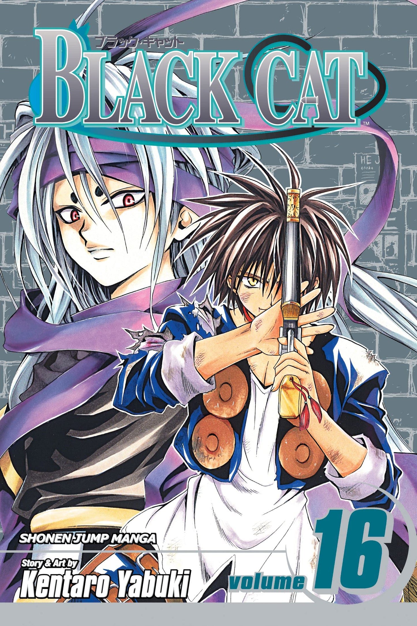 Black Cat, Vol. 16