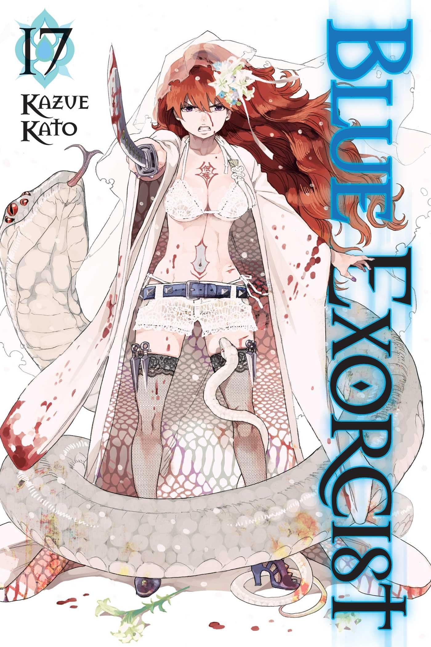 Blue Exorcist, Vol. 17 - 3767