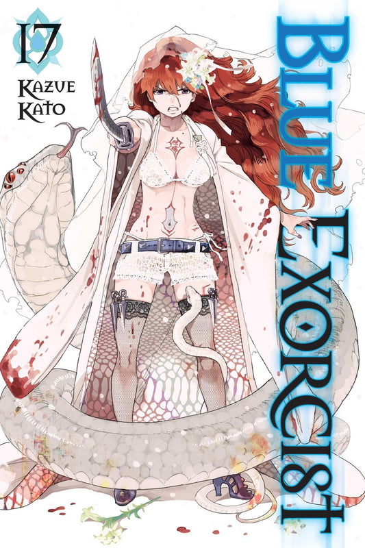 Blue Exorcist, Vol. 17 - 3767