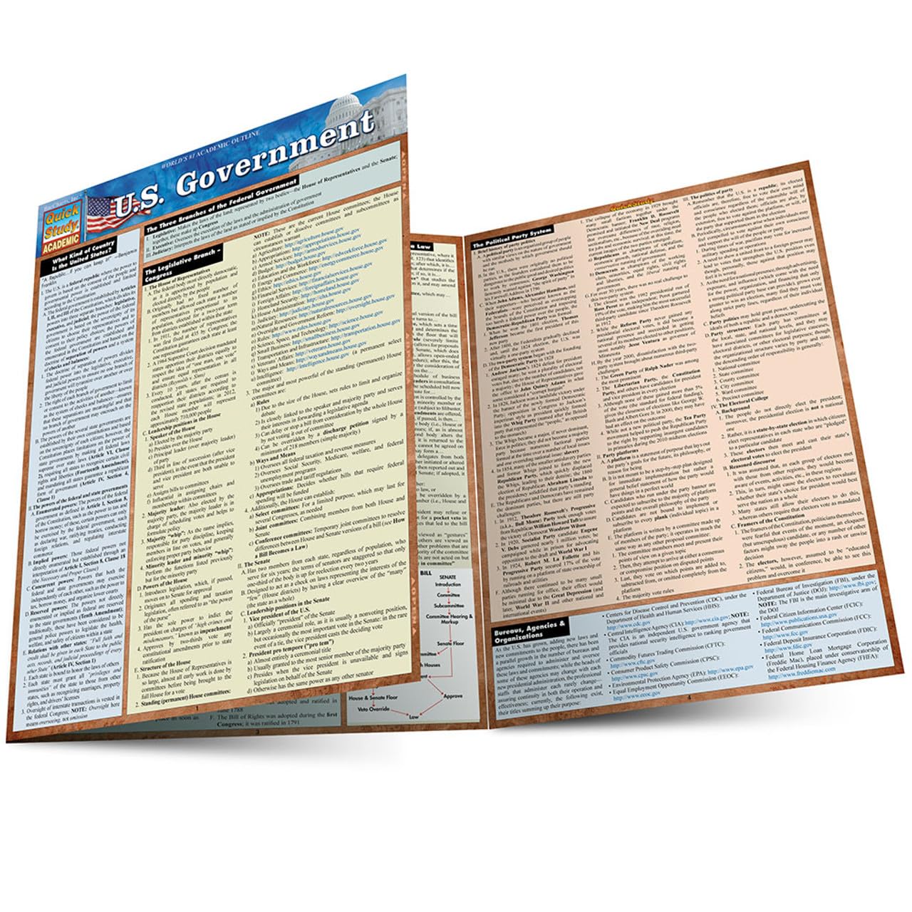 U.S. Government: a QuickStudy Laminated Reference Guide (Quick Study: Academic)