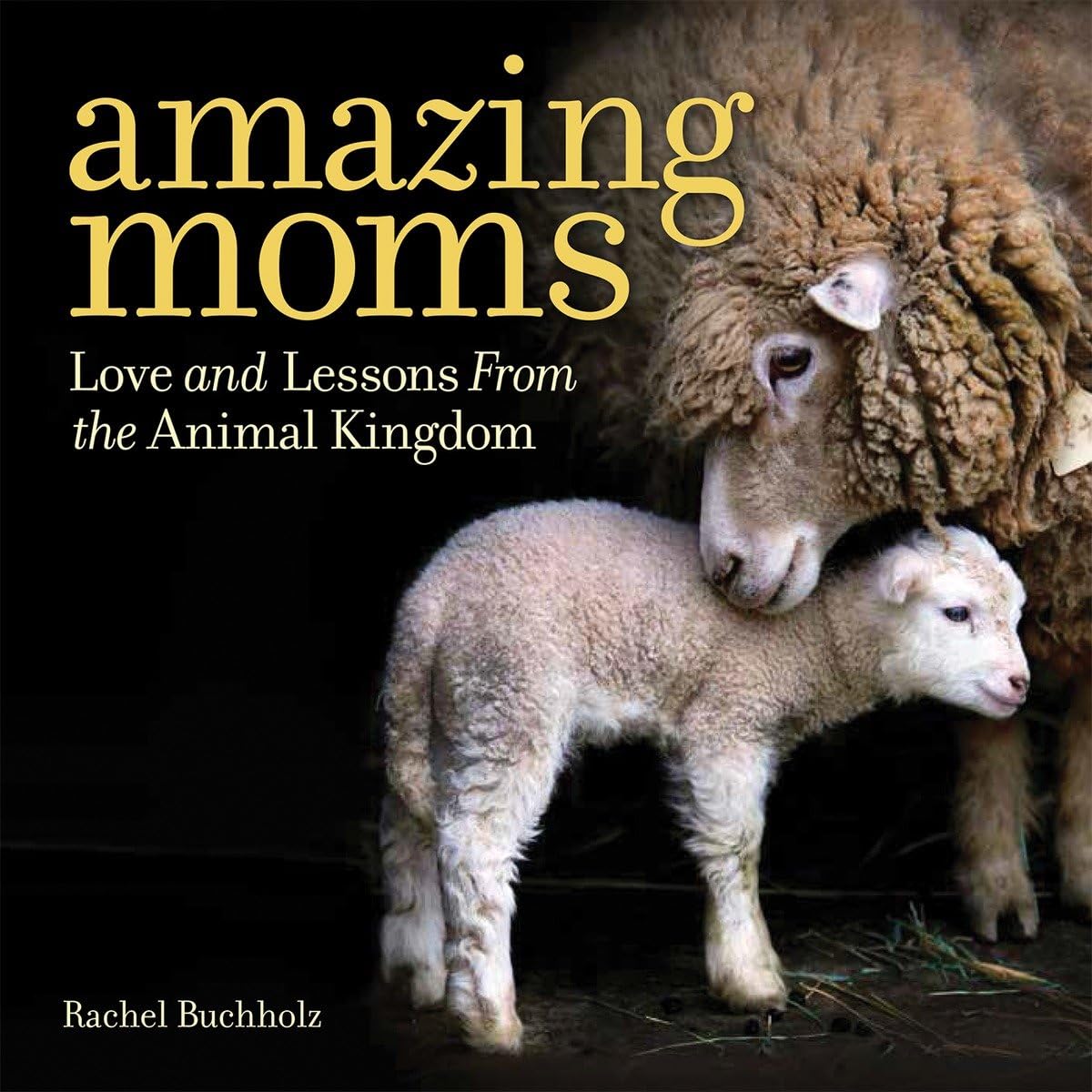 Amazing Moms: Love and Lessons From the Animal Kingdom - 2540