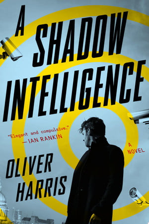 A shadow intelligence