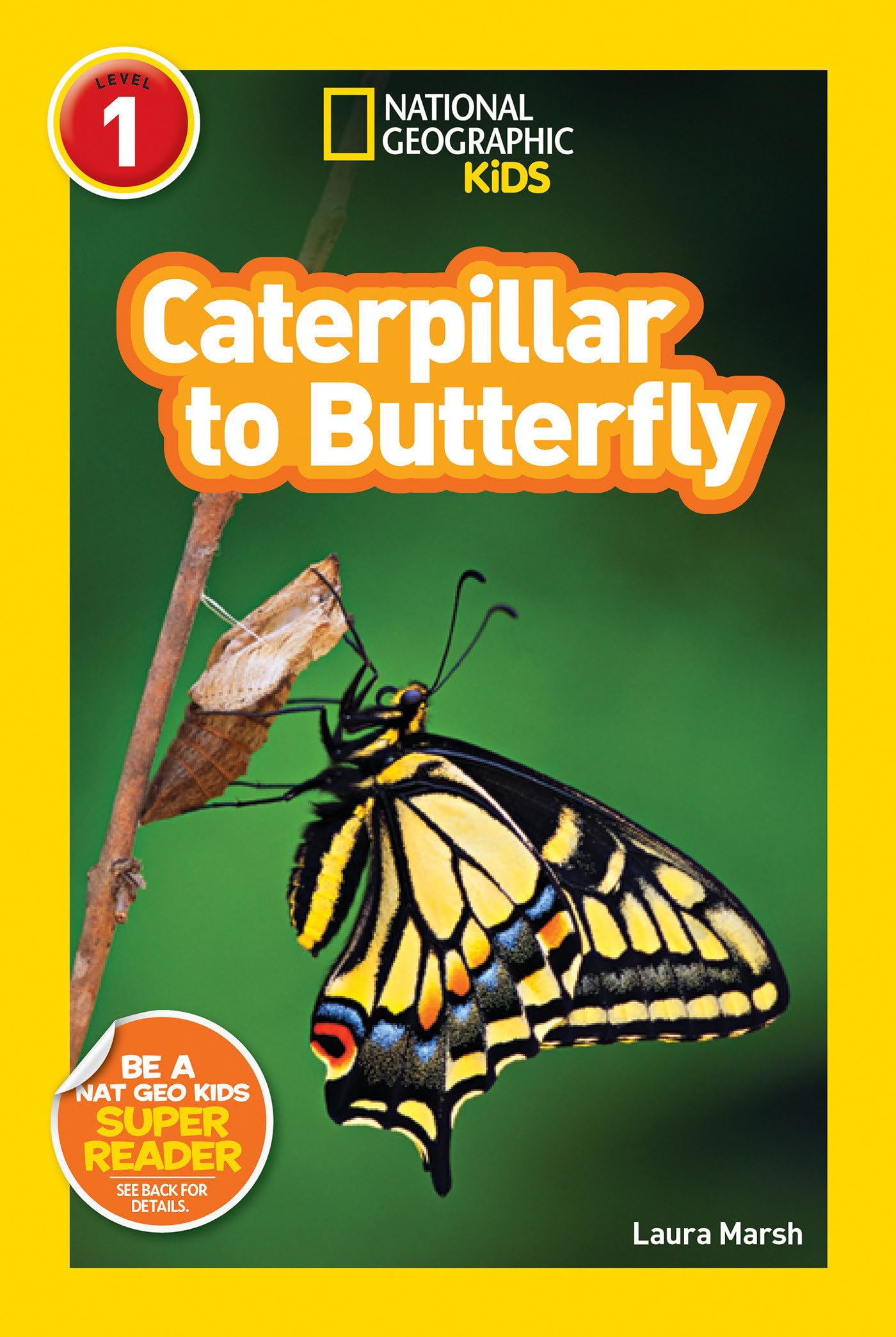 National Geographic Readers: Caterpillar to Butterfly - 6236