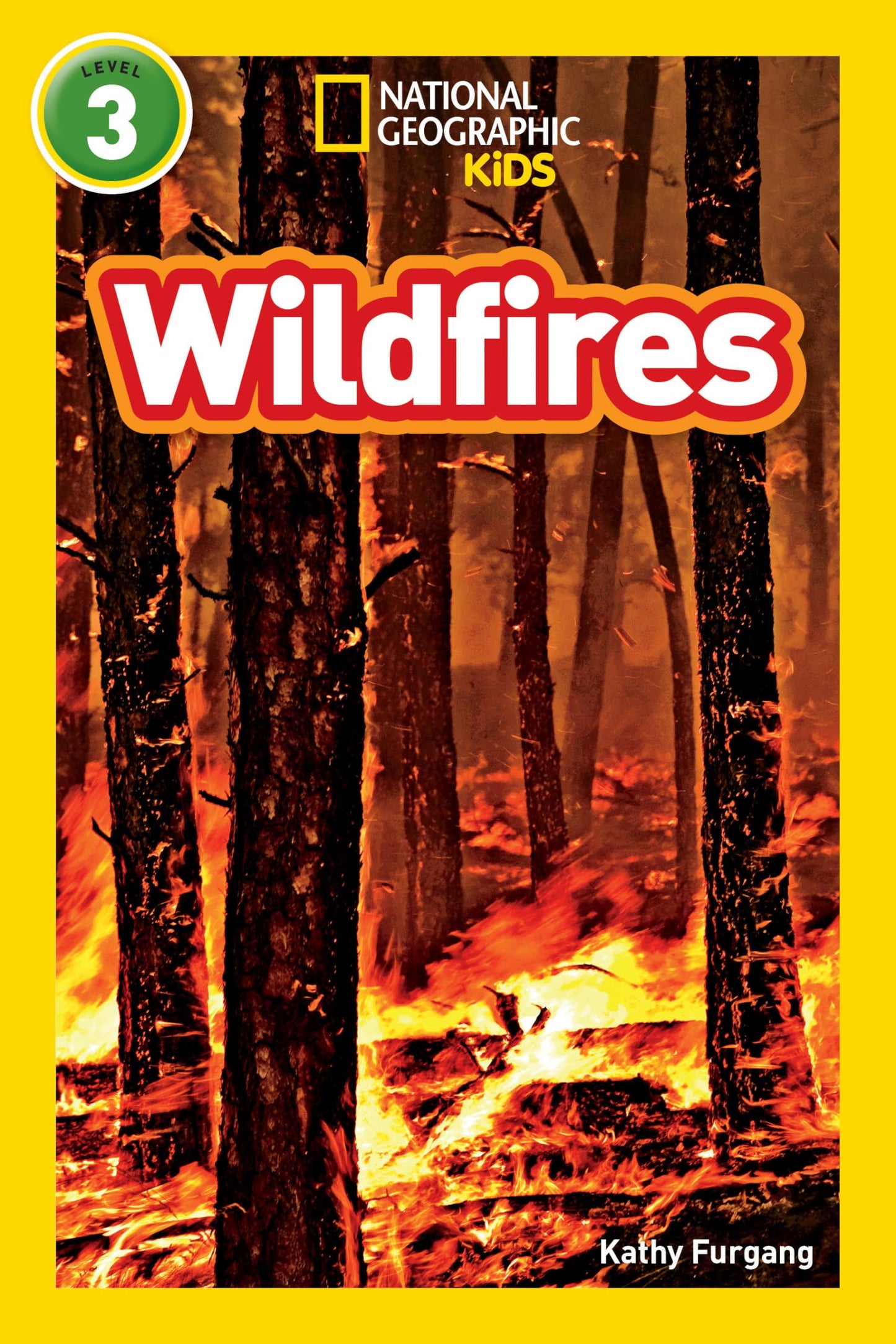 Wildfires (National Geographic Kids Readers, Level 3) - 7053