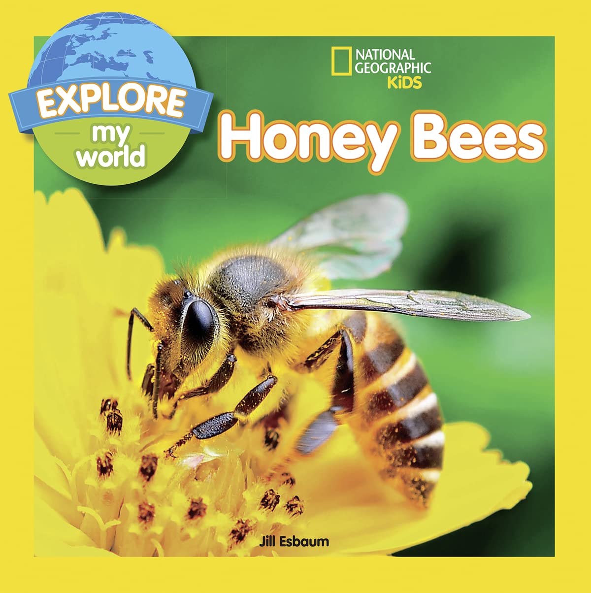 Explore My World: Honey Bees - 4283