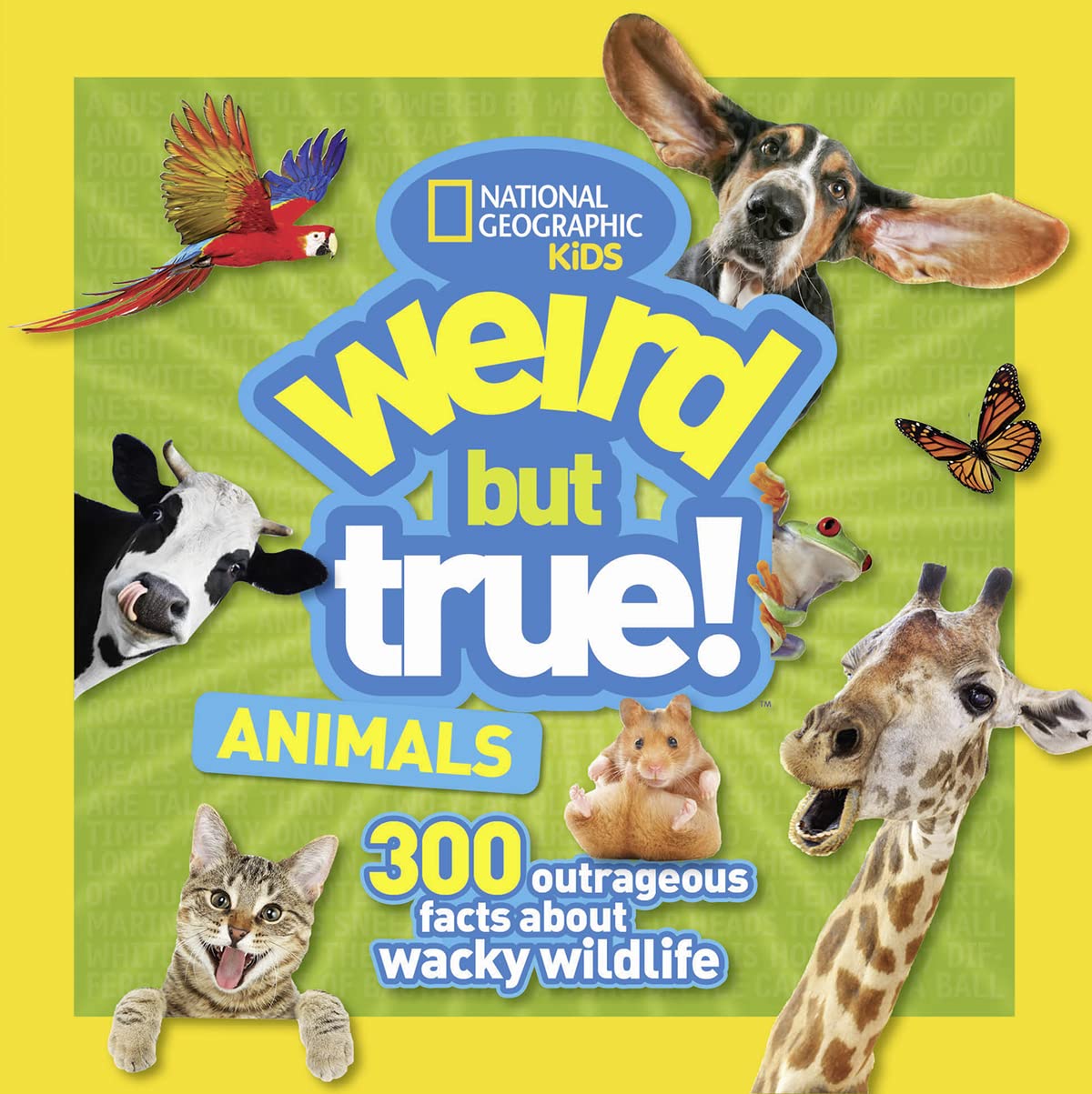 Weird But True Animals - 6348