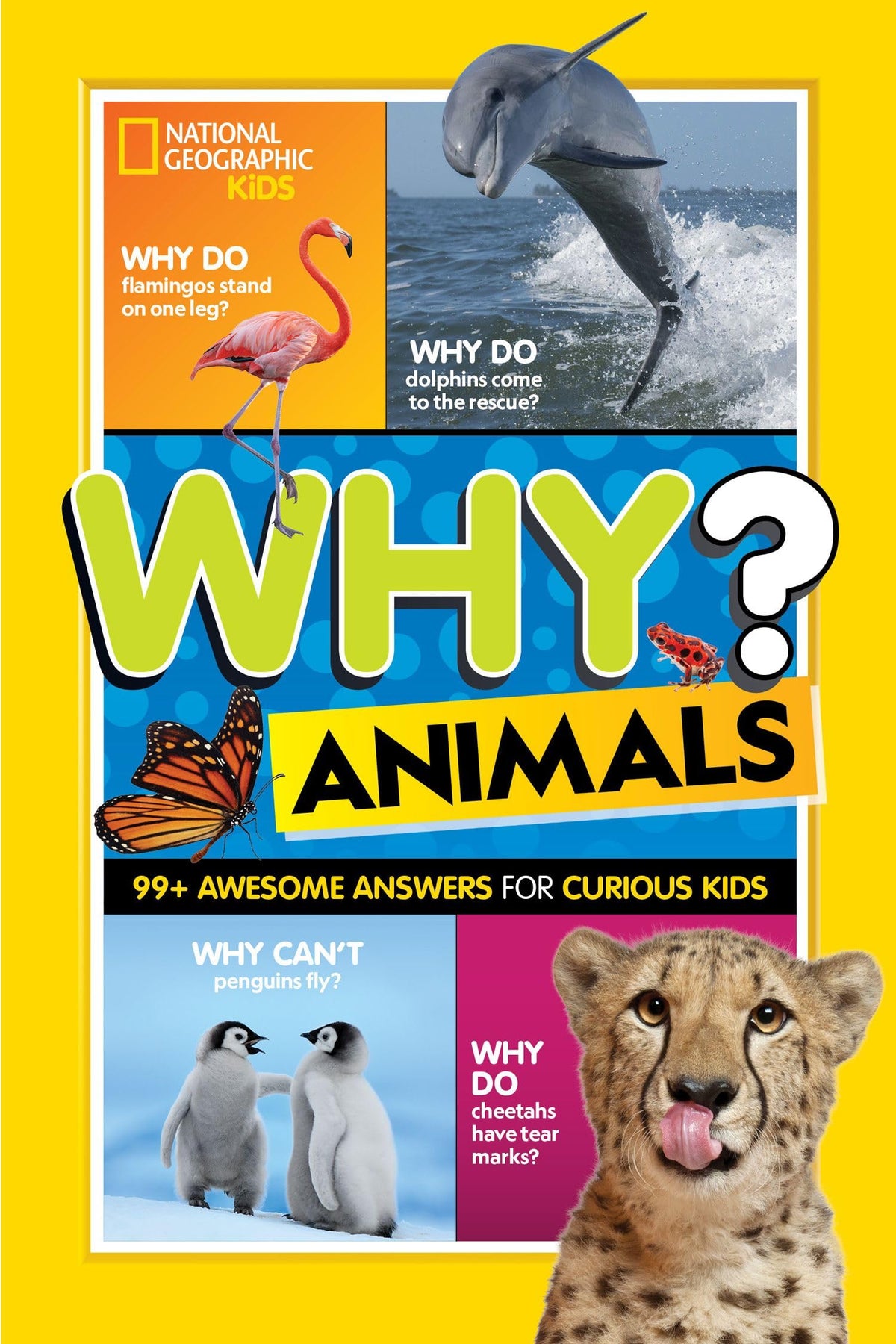 WHY? ANIMALS: 99+ AWESOME ANSWER