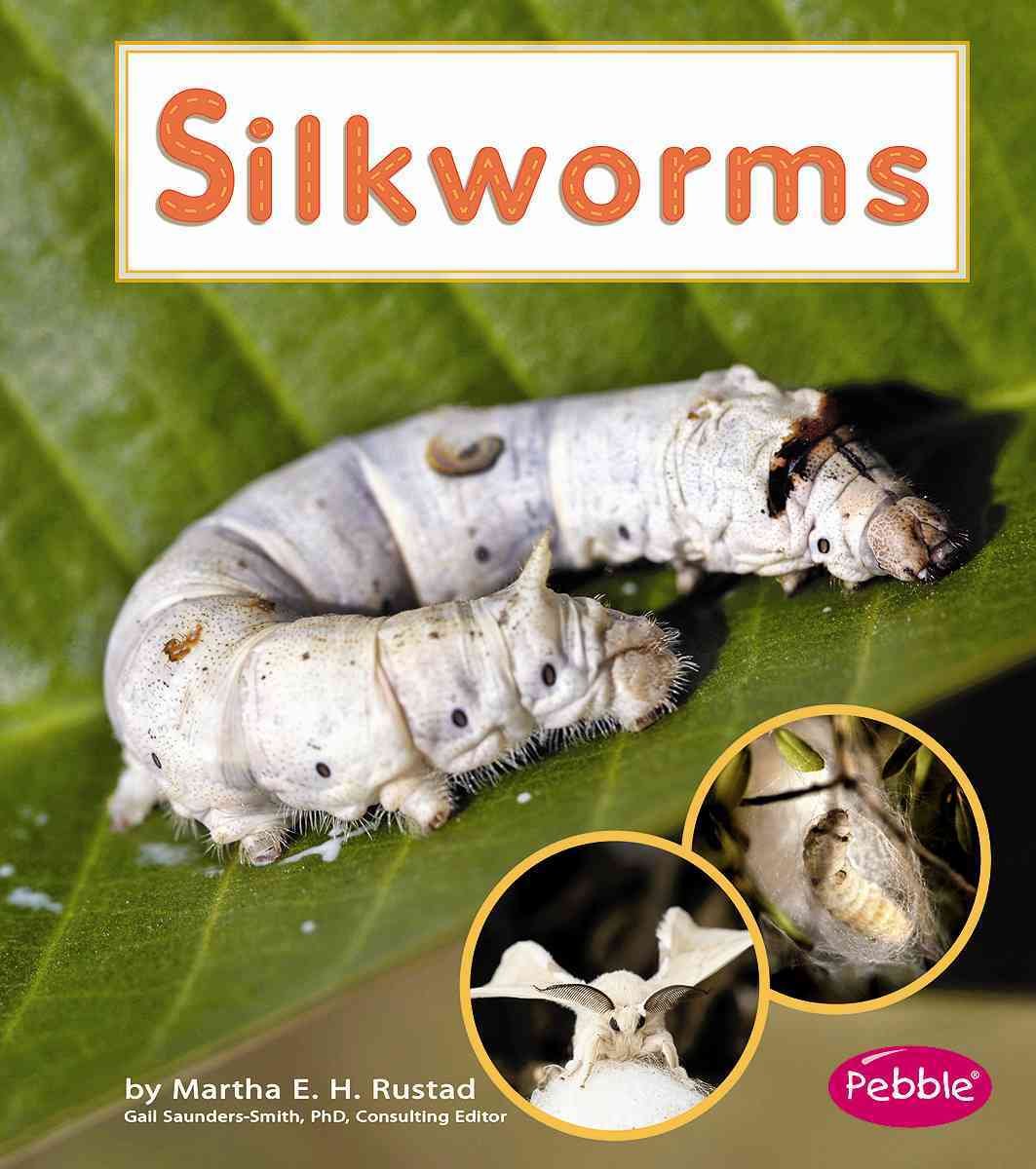 Silkworms (Pebble Books/Watch It Grow)