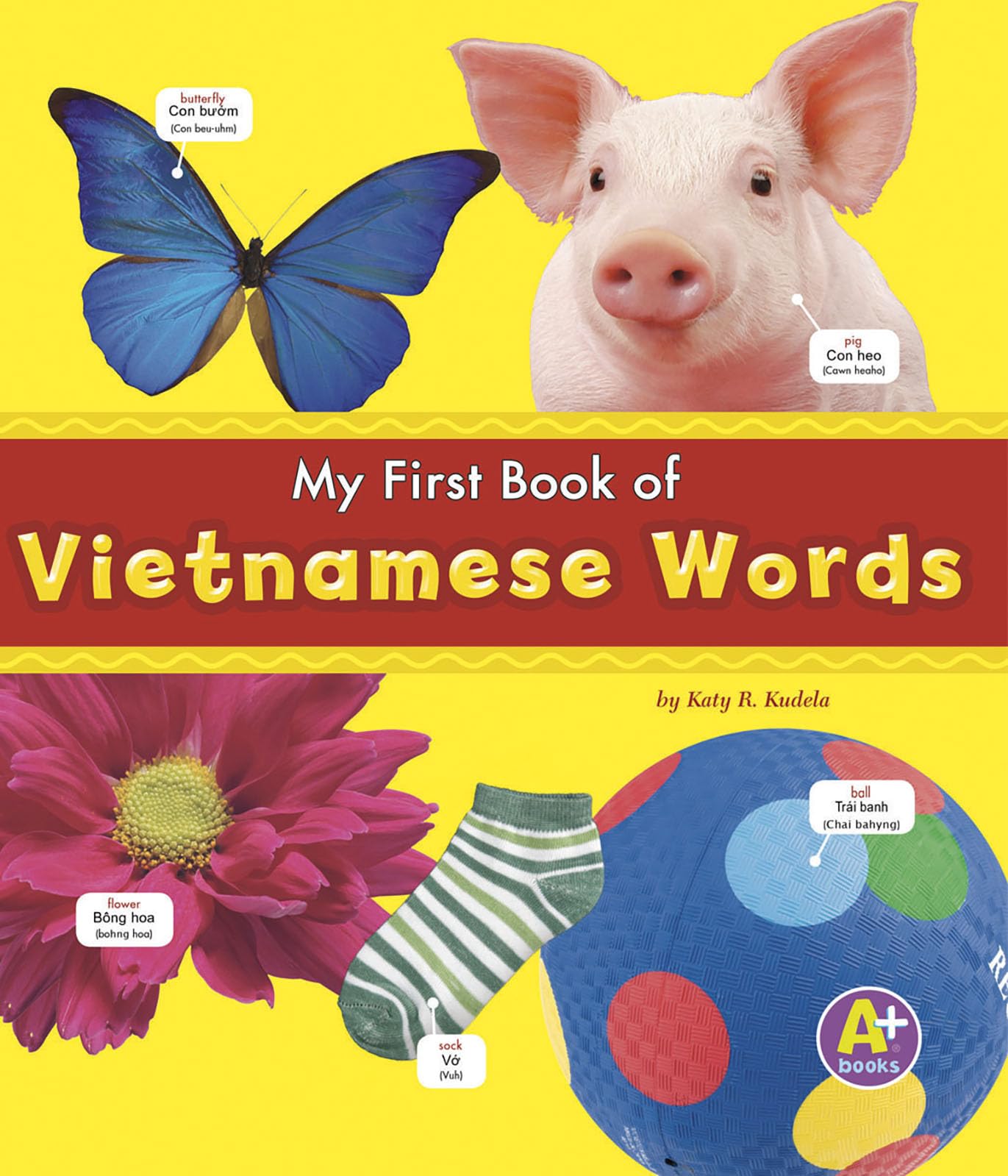 My First Book of Vietnamese Words (A+ Books: Bilingual Picture Dictionaries) (English and Vietnamese Edition)