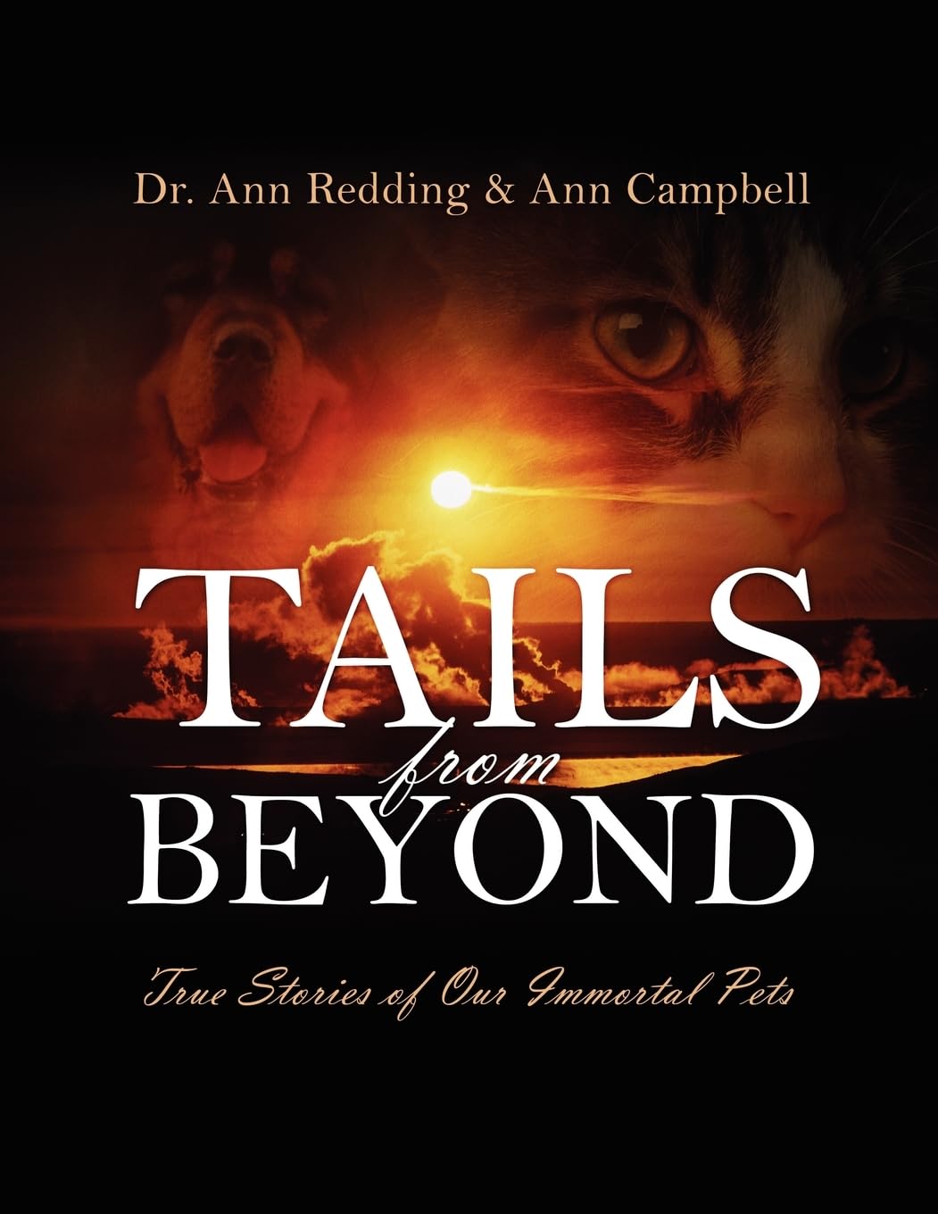 Tails from Beyond - 7060