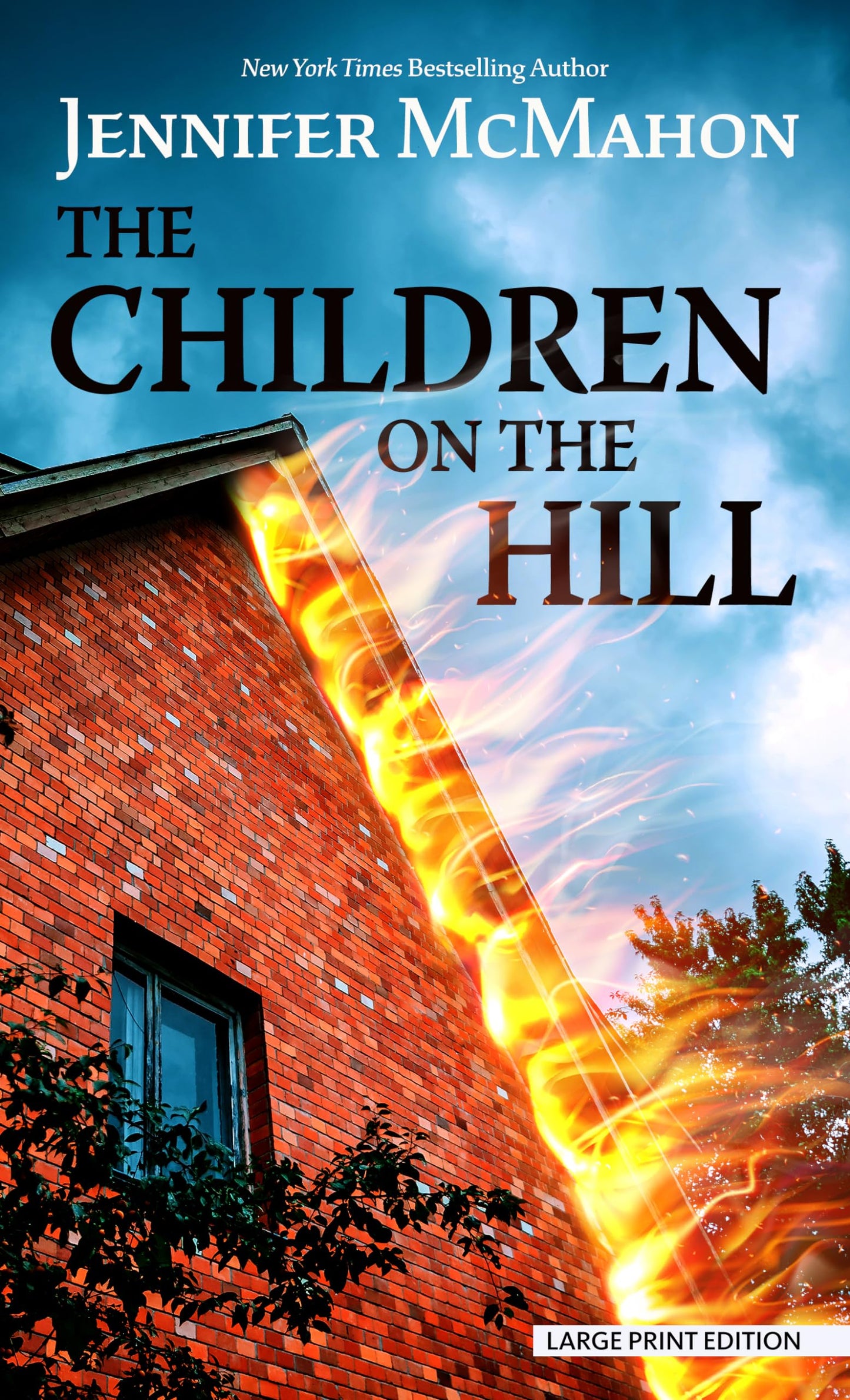 The Children on the Hill (Thorndike Press Large Print Thriller, Adventure, and Suspense)