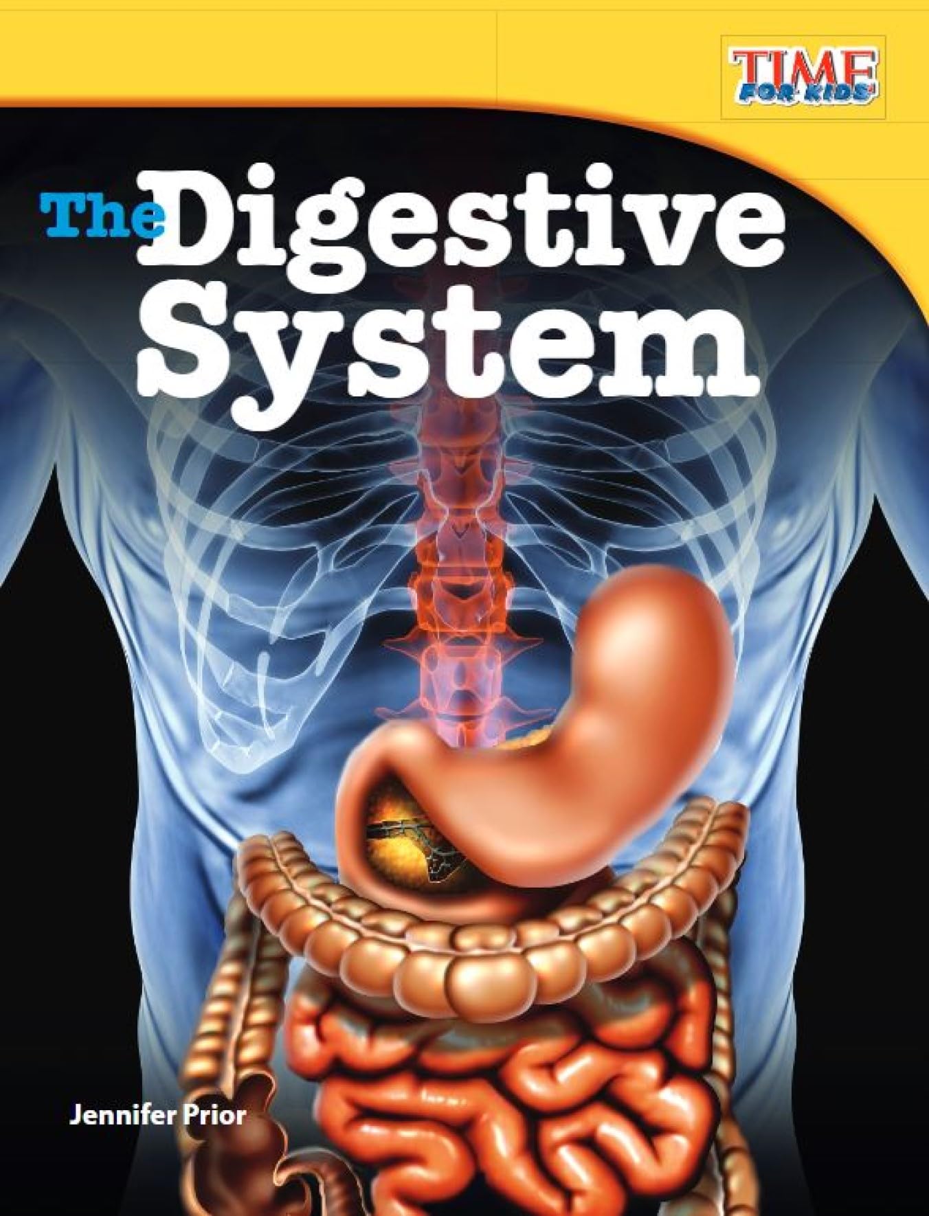 The Digestive System