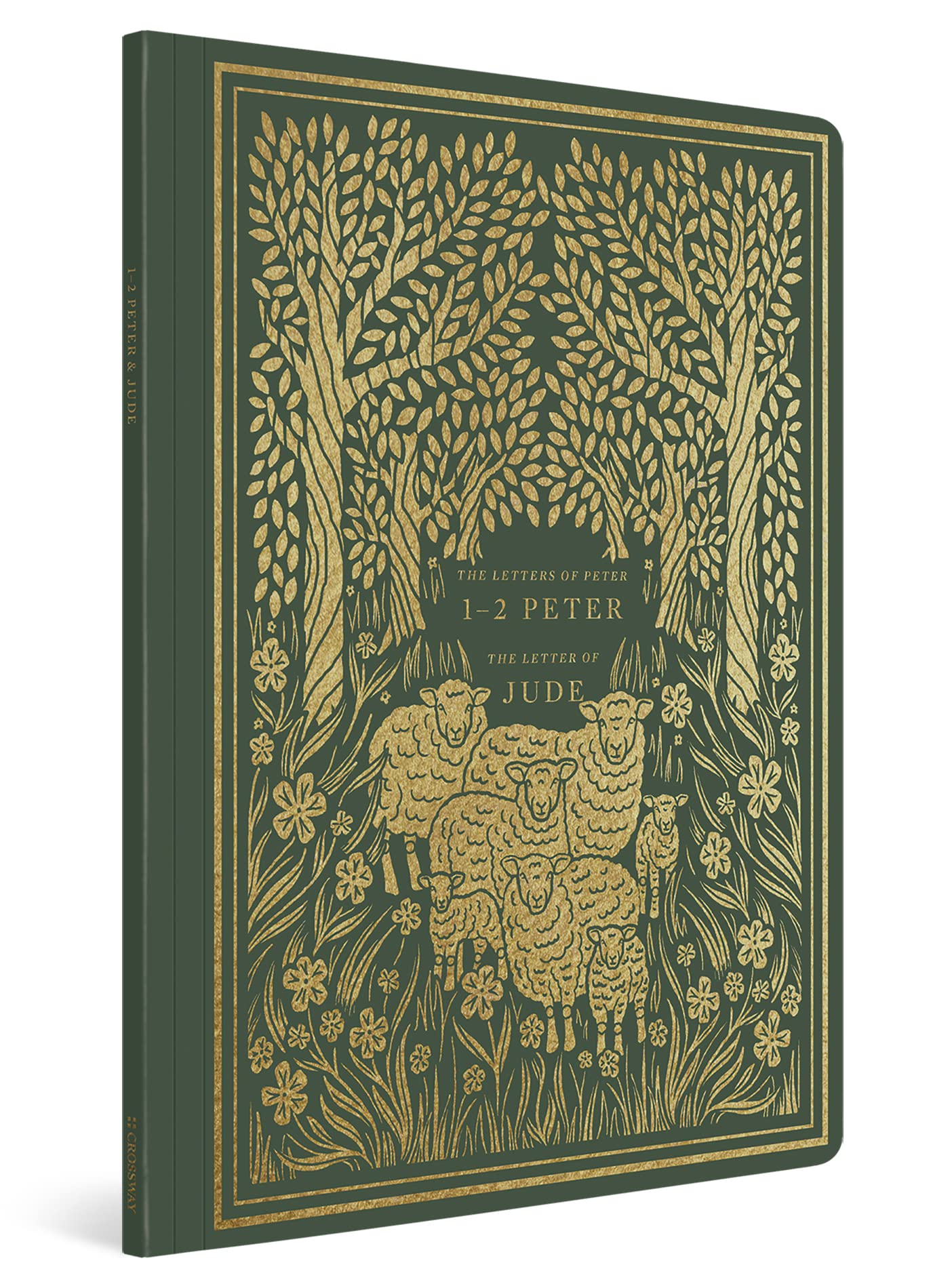 ESV Illuminated Scripture Journal: 12 Peter and Jude (Paperback)