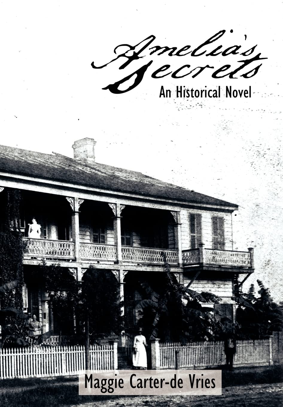Amelia's Secrets: An Historical Novel