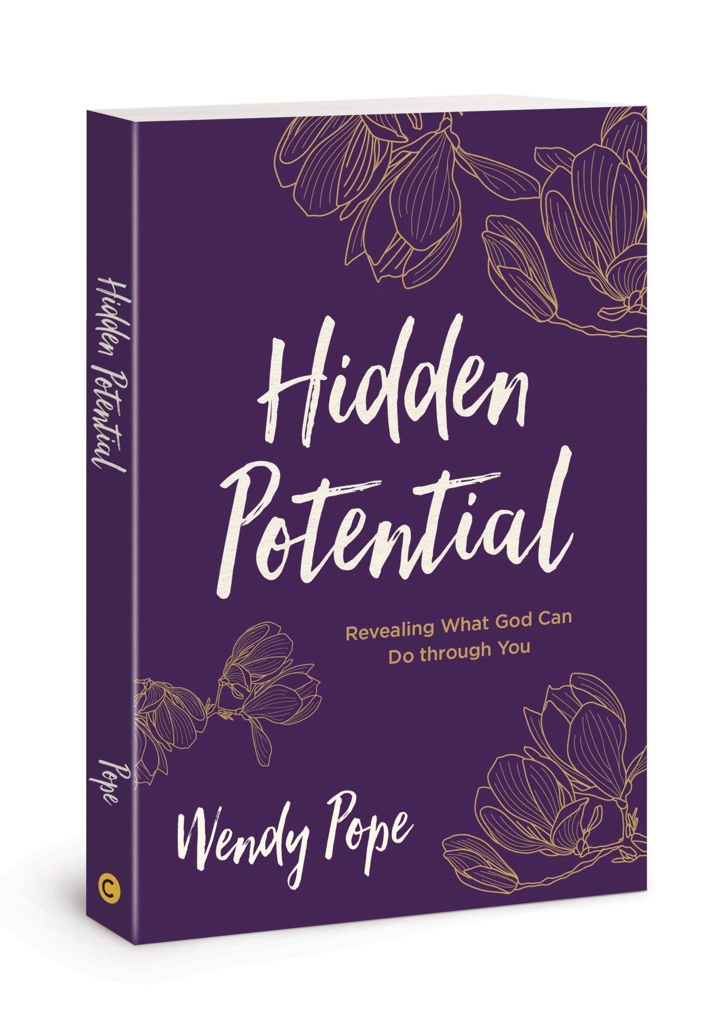 Hidden Potential: Revealing What God Can Do through You