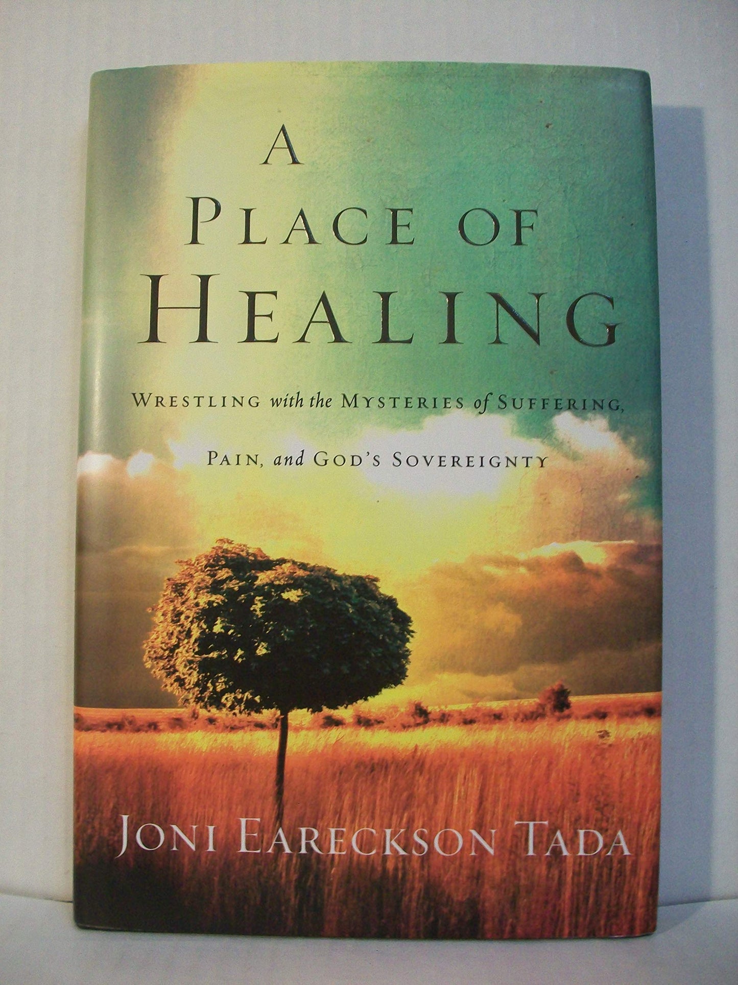 A Place of Healing: Wrestling with the Mysteries of Suffering, Pain, and God's Sovereignty