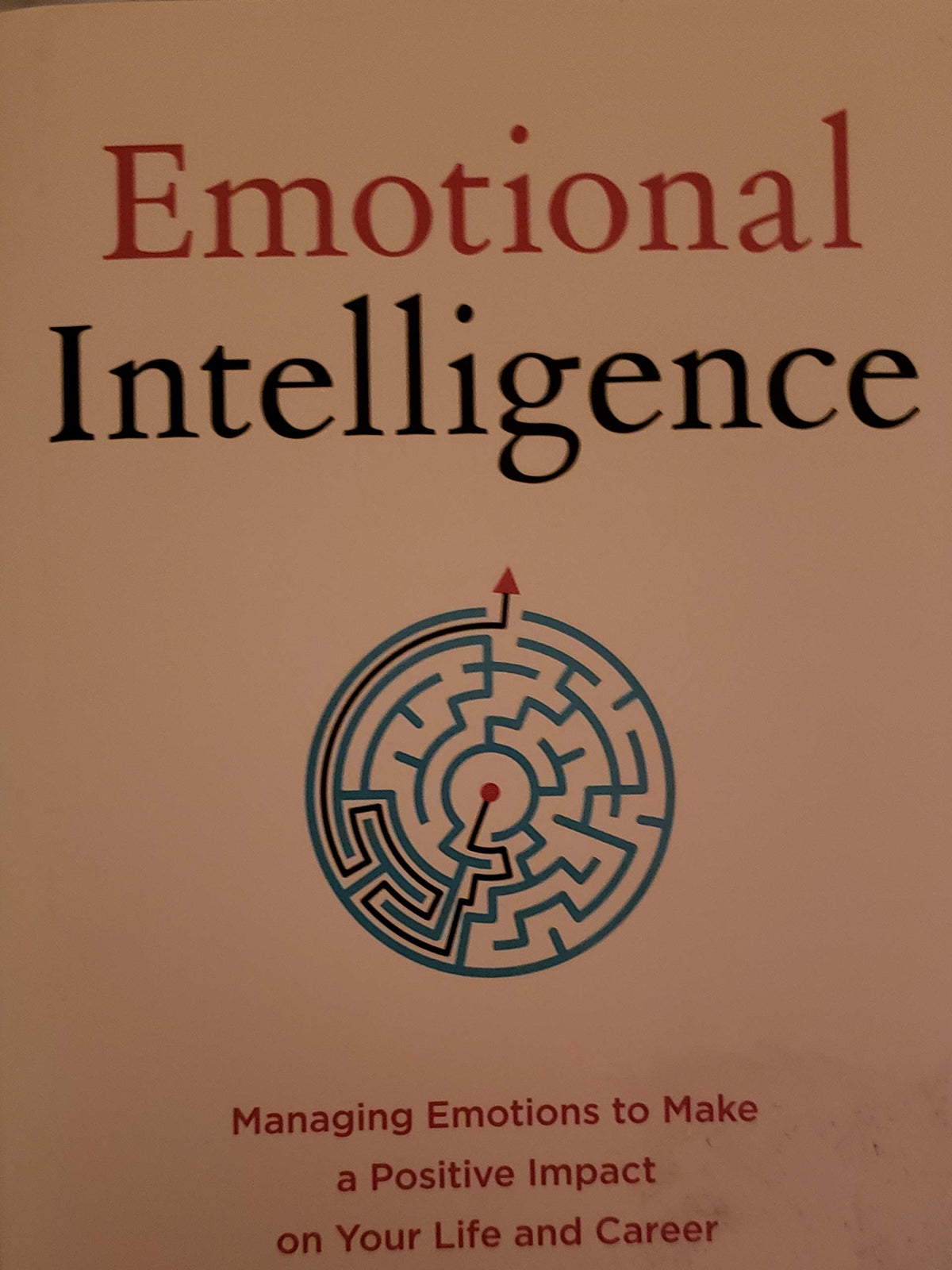 Emotional Intelligence