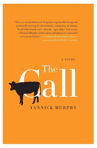 The call: a novel
