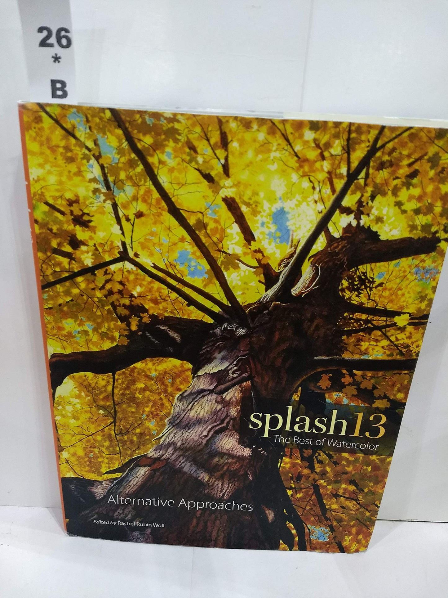Splash 13: The Best of Watercolor: Alternative Approaches - 9981