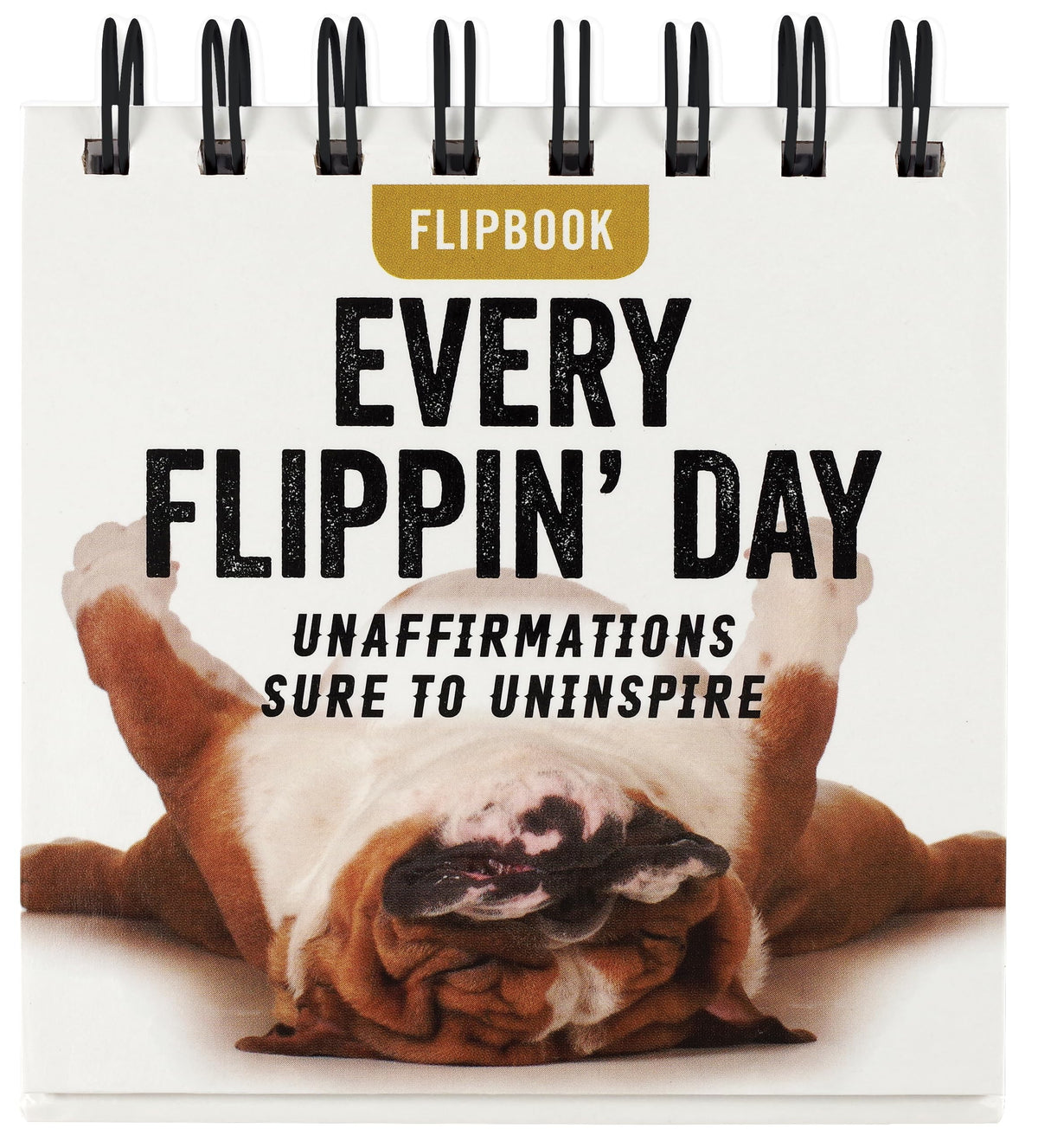 Every Flippin' Day Desktop Flipbook