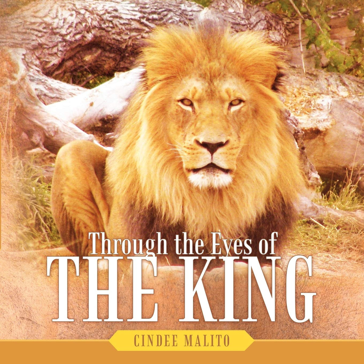 Through the Eyes of the King: Words From the Lion of Judah, the Great I am. Especially For You, My Precious Lamb of God, With Unending Love.