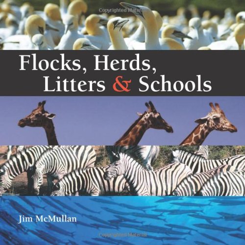 Flocks, Herds, Litters & Schools
